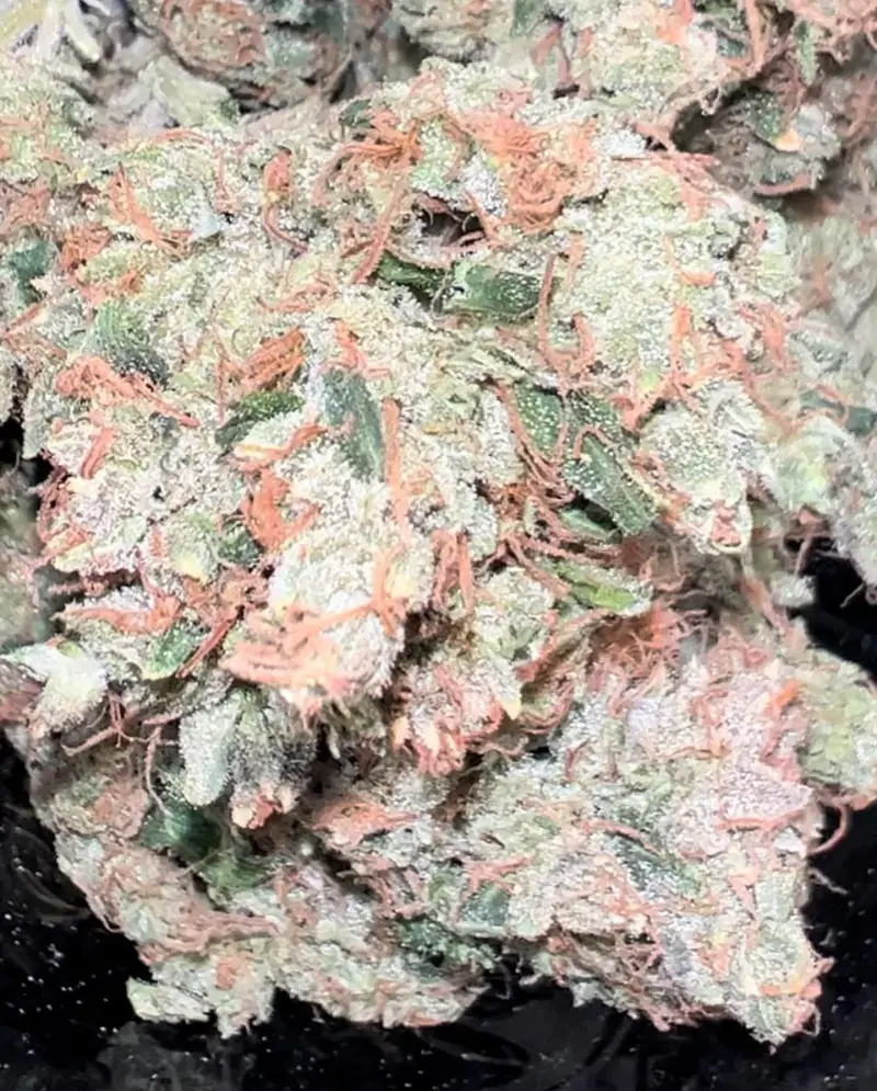 Original Diesel