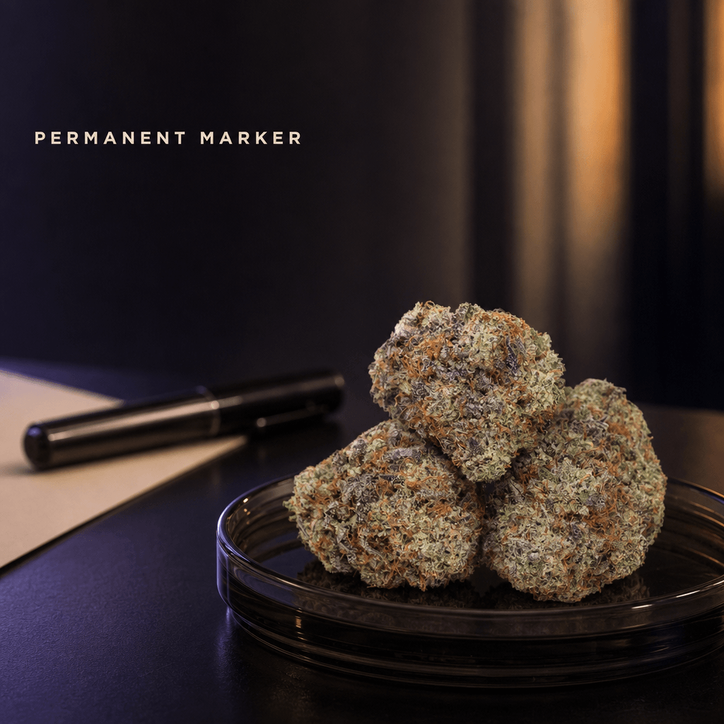 Permanent Marker Puffin 7pK — Lifestyle