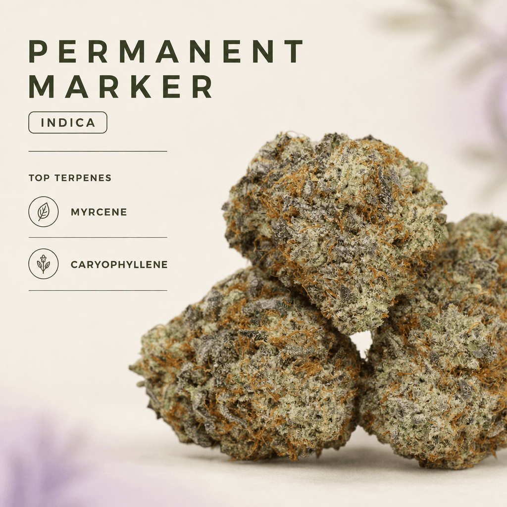 Permanent Marker Puffin 7pK — Macro