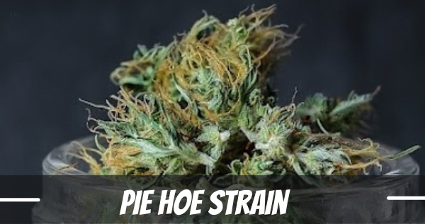Pie Hoe