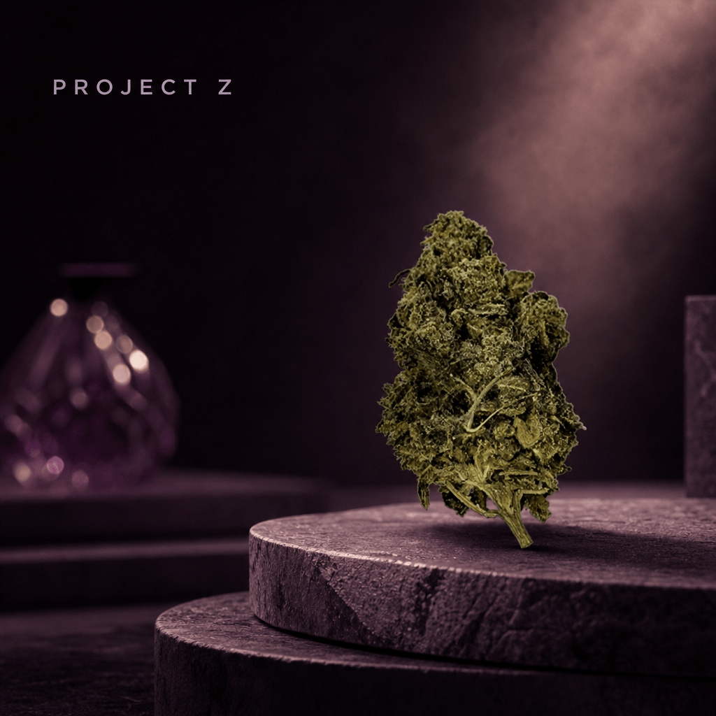 Project Z — Lifestyle