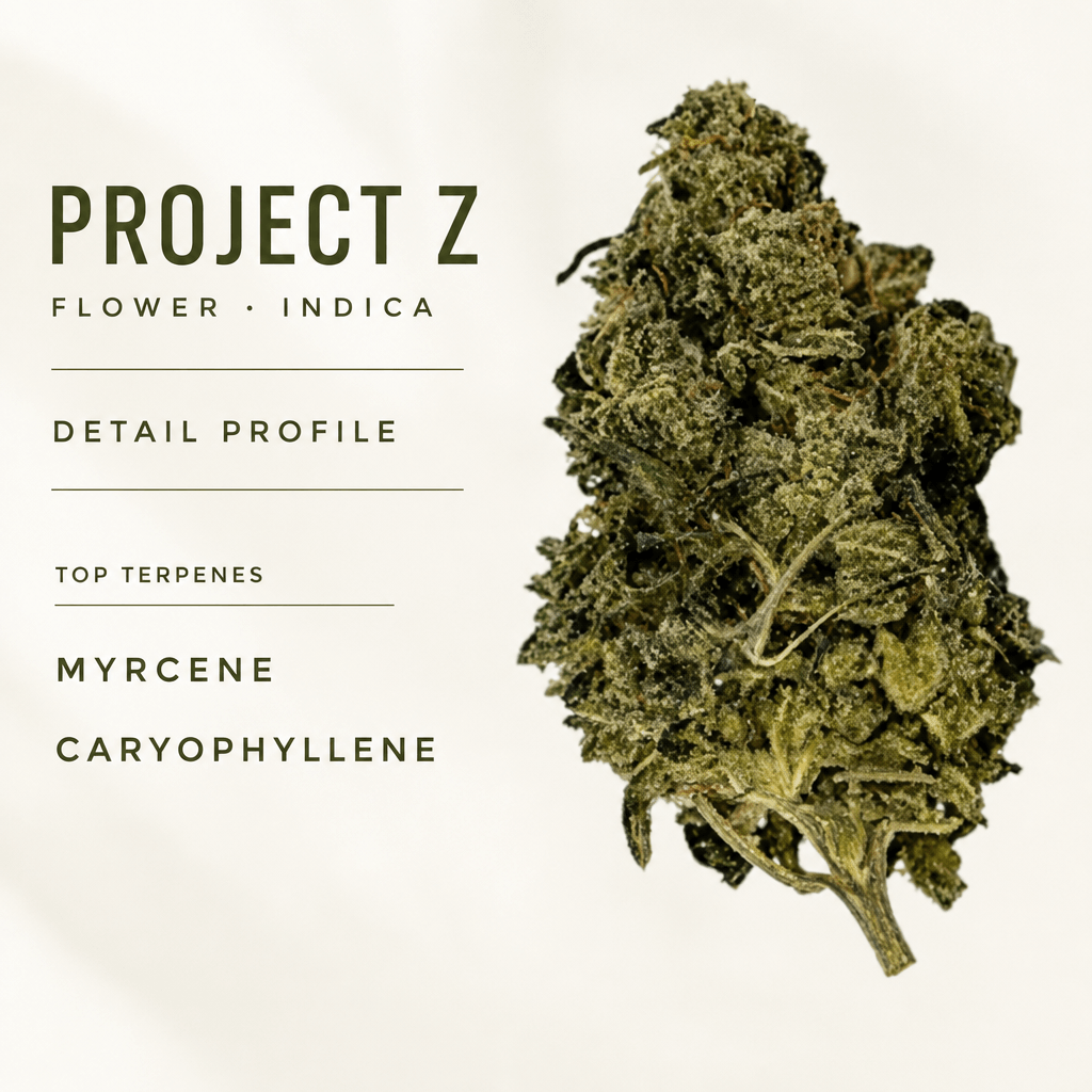 Project Z — Macro