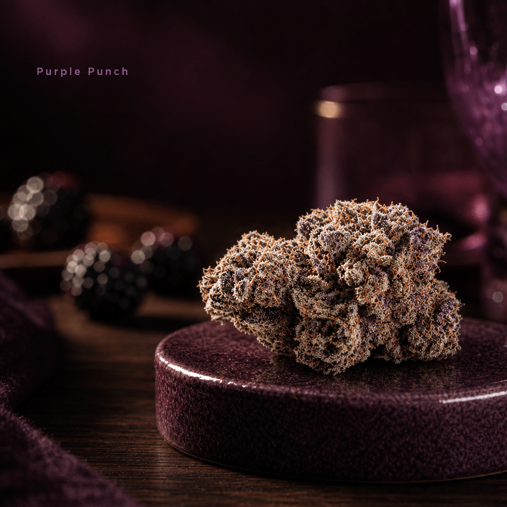 Purple Punch — Lifestyle