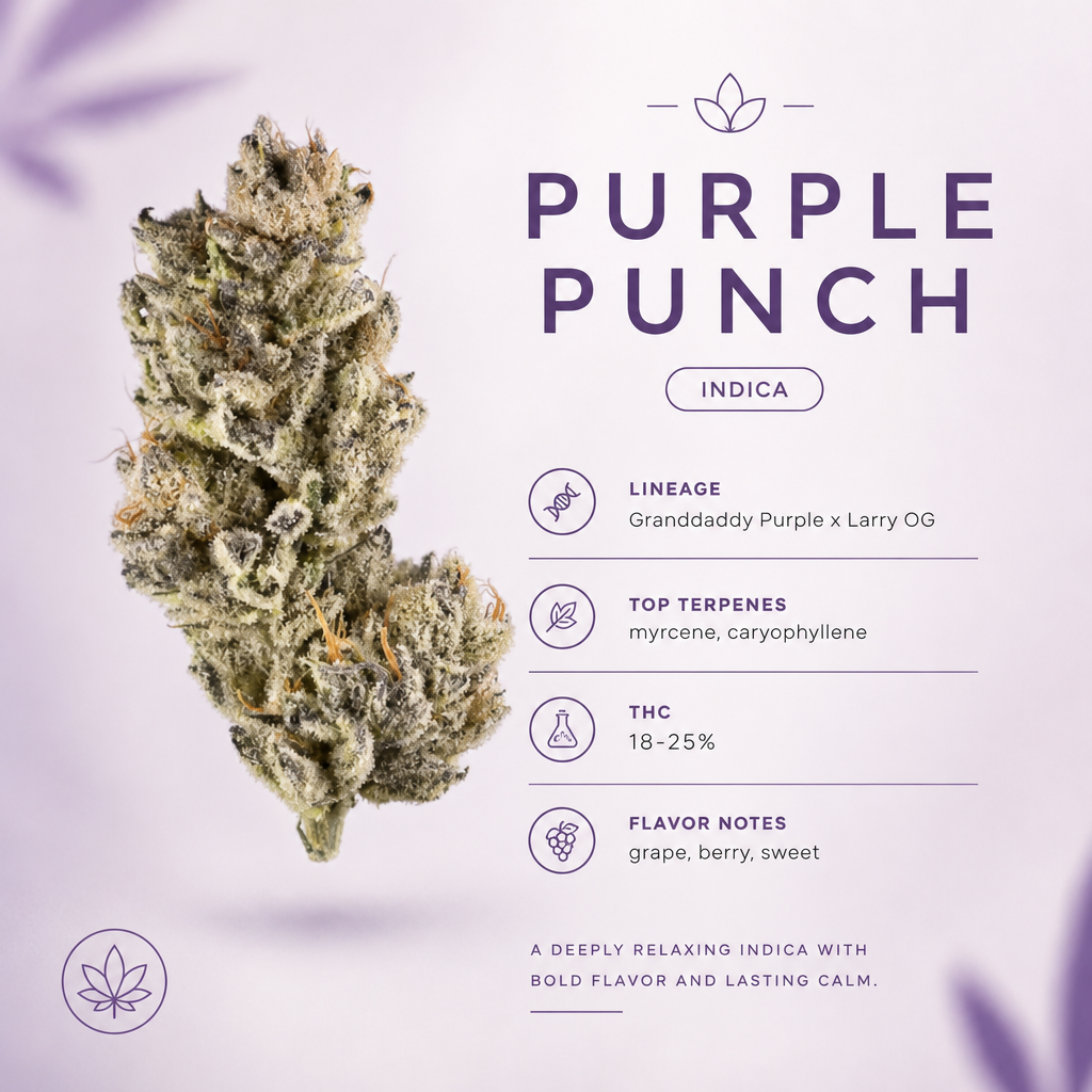 Purple Punch — Macro