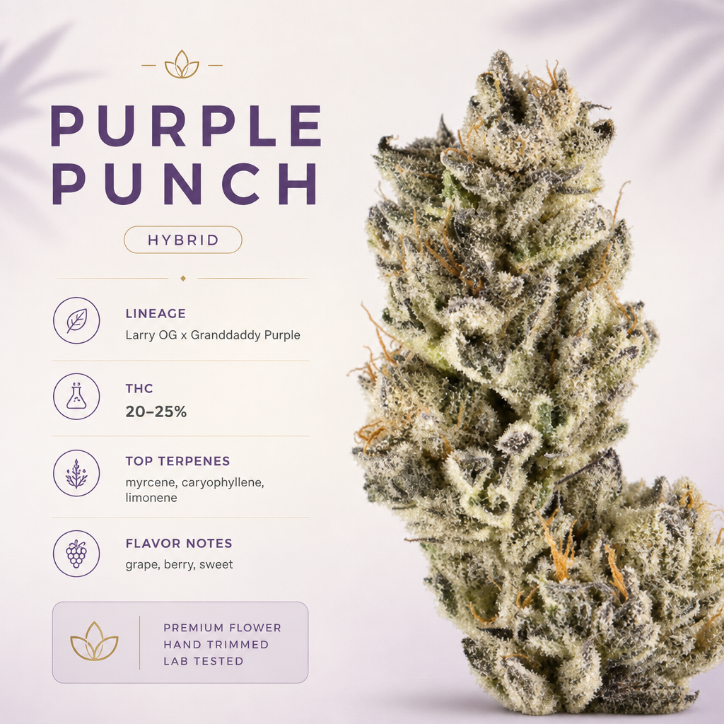 Purple Punch — Macro