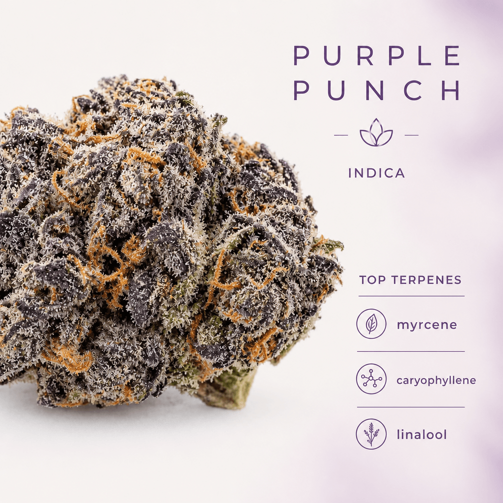 Purple Punch — Macro