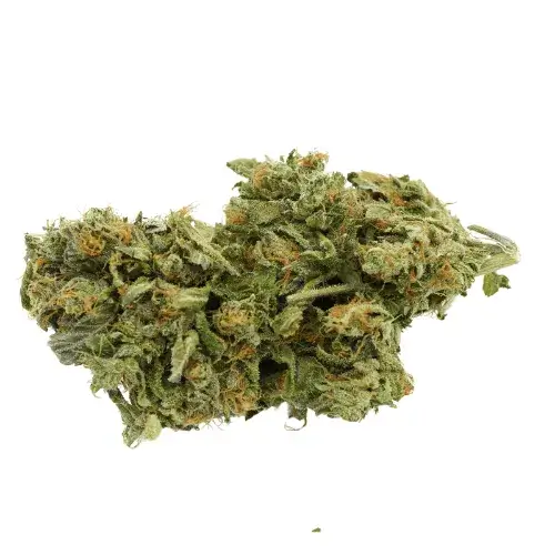 Roadkill Skunk