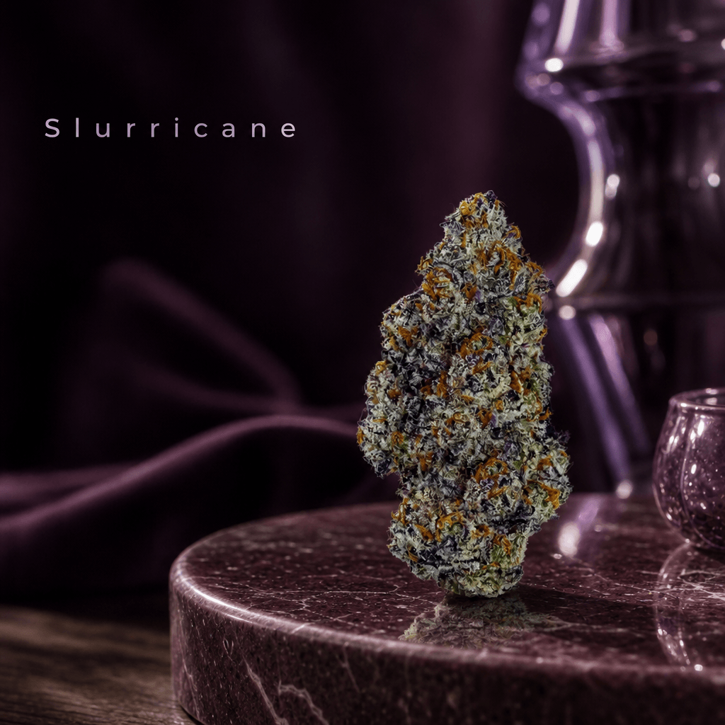 Slurricane — Lifestyle