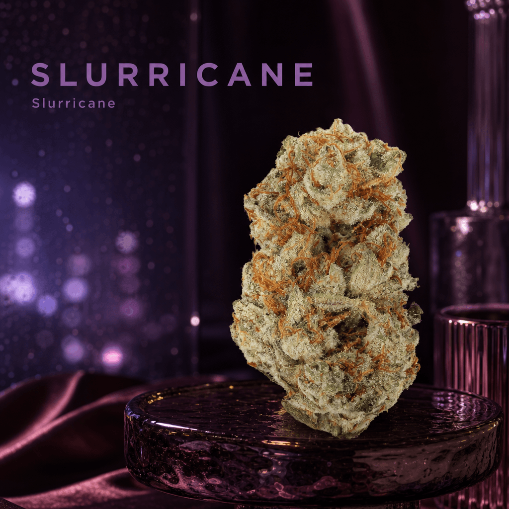 Lifted Meds — Lifestyle