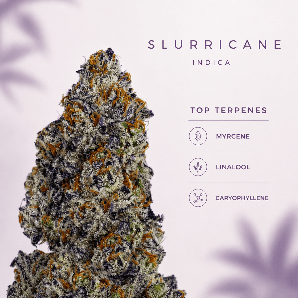 Slurricane — Macro