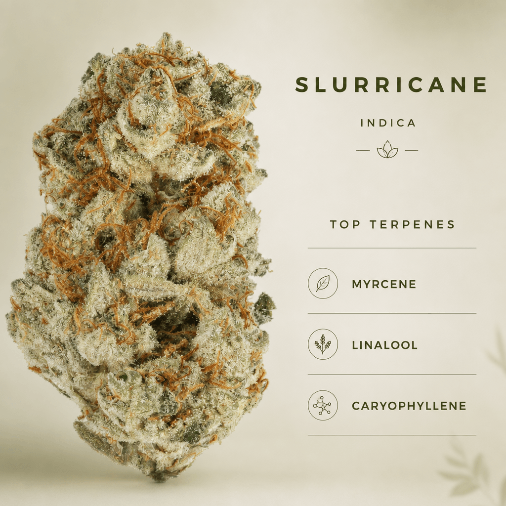 Lifted Meds — Macro