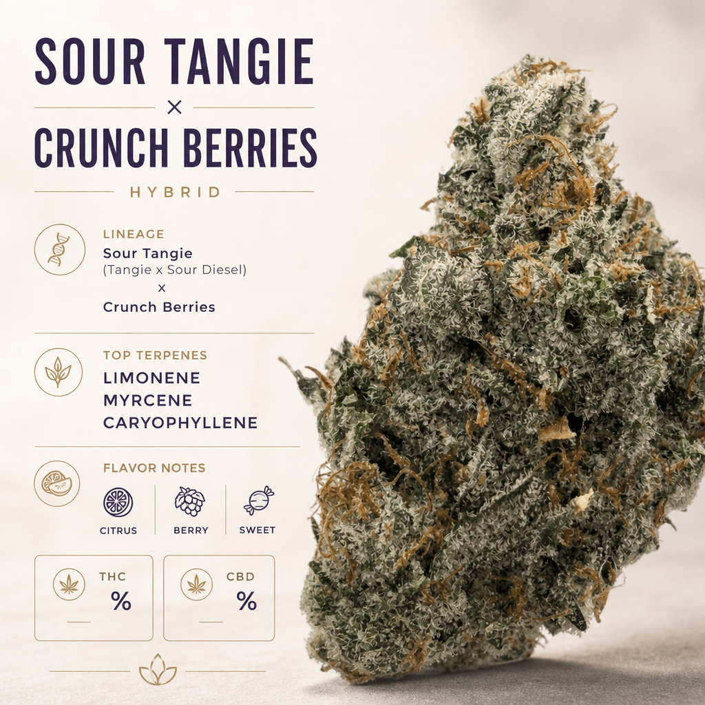 Sour Tangie x Crunch Berries — Macro