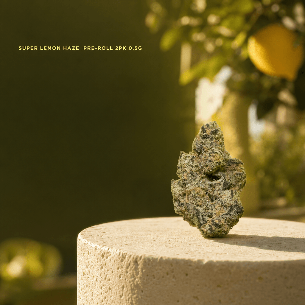 Lifted Meds — Lifestyle