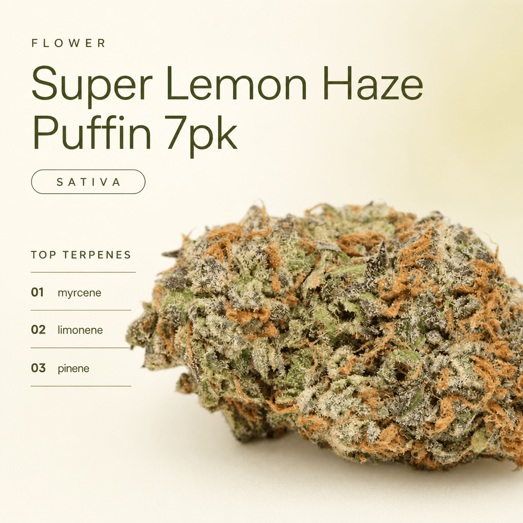 Super Lemon Haze — Macro