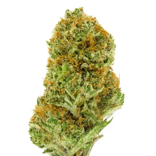 Super Lemon Haze Puffin 7pk — Product