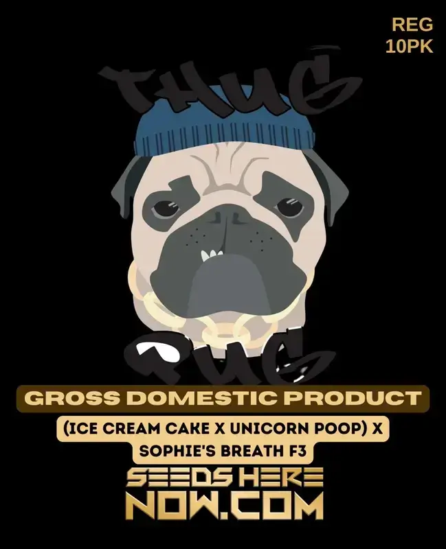 Thug Pug GDP